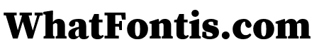 Source Serif Pro Black
