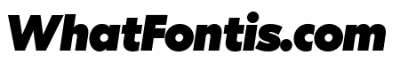 Centra No2 Black Italic