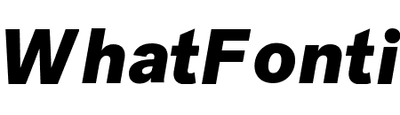 Post Grotesk Black Italic