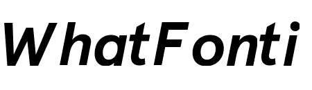 Apercu Pro Bold Italic