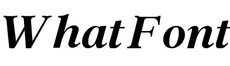 Archive Pro Bold Italic