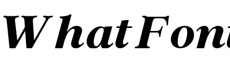 Archive Pro ExtraBold Italic
