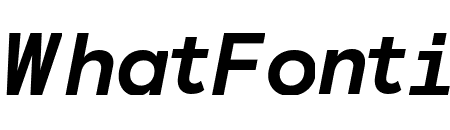 Basis Grotesque Pro Mono Bold Italic