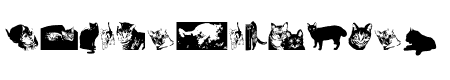 Cat e Poultry