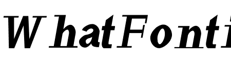 Haytham Black Italic