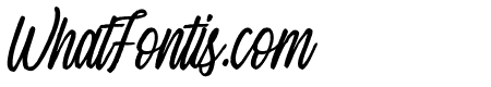 Single Brand Italic