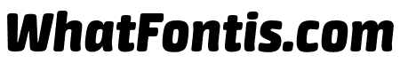 NeuronBlack-Italic
