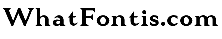Tautz Bold