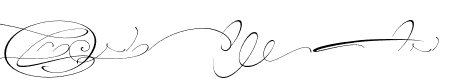 TheSecret-Swashes