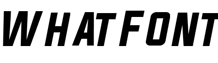 Evogria Italic