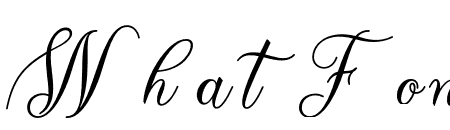 TheParagraphScript