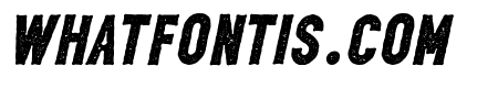 Liongate rough Bold Italic