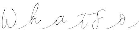 Hollydays-stylisticsets01