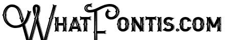 Letter Head