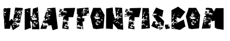 Castillo-Italic