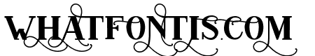Conquistador Regular
