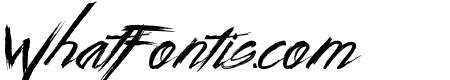 WildZovaWide
