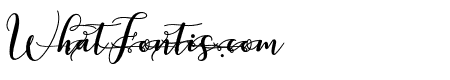kissitaalt13