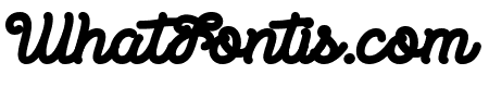 Sun traveller Fat Bold
