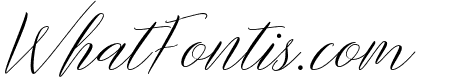 Mountique Regular