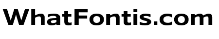 Belle Sans Wide Bold