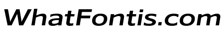 Belle Sans Wide Medium Obl