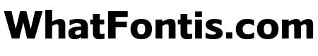 Belle Sans Ex Bold