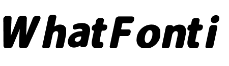 Carson Black Italic