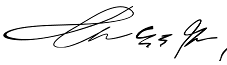Swashes_ Amirra Script