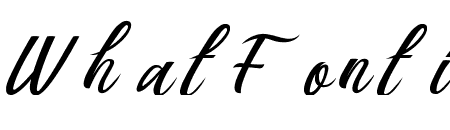 Berlin Script