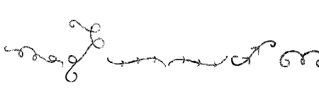 Galponspring-OrnamentSpring