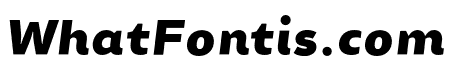 ChamfortFamily-BlackItalic
