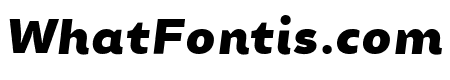 Chamfort Family Black Italic