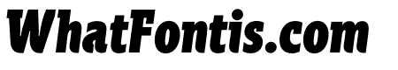 Spartacus Black Italic