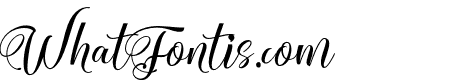 BigTedyAlternates