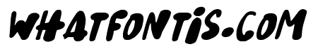 Snowy Skies Italic