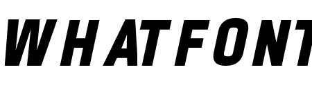 PROMINDER Italic