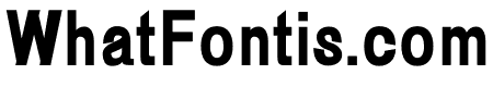 Fonzy Bold
