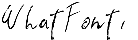 the flashter