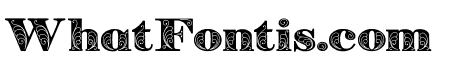 Zenone Bold