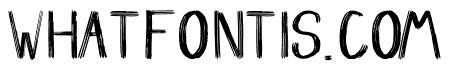 WILDANDFREE Bold