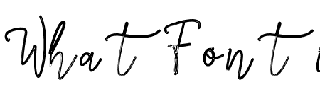 Licht Script Scratch