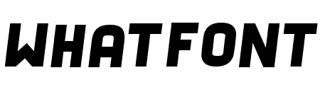 Fixation Italic