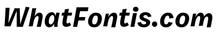 Burbank Small Light Bold Italic
