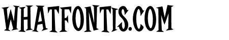 Typography of Coop Latin