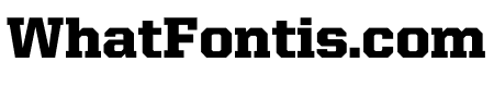 United Serif Regular Thin Black