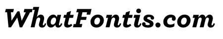 Archer Black Italic