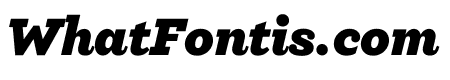 Archer Ultra Italic