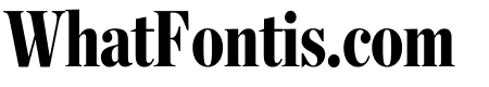 Chronicle Display Compressed Black