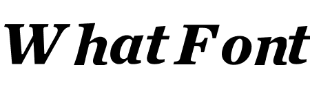 Chronicle Text Grade 2 Bold Italic